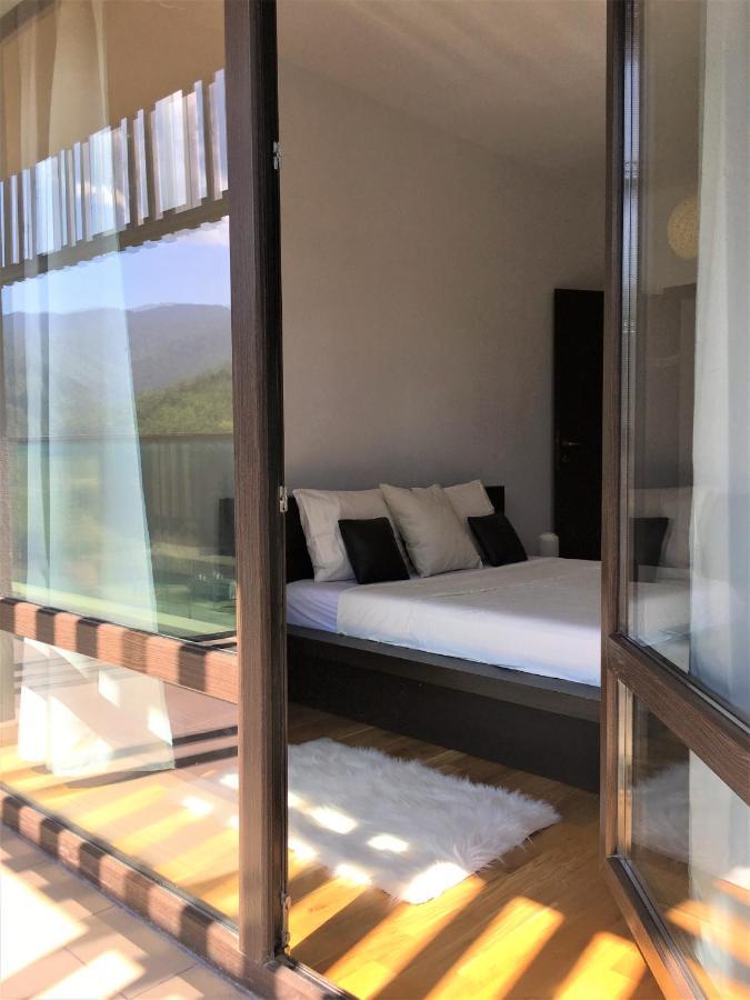 Nature Escape Apartment 布拉索夫 外观 照片
