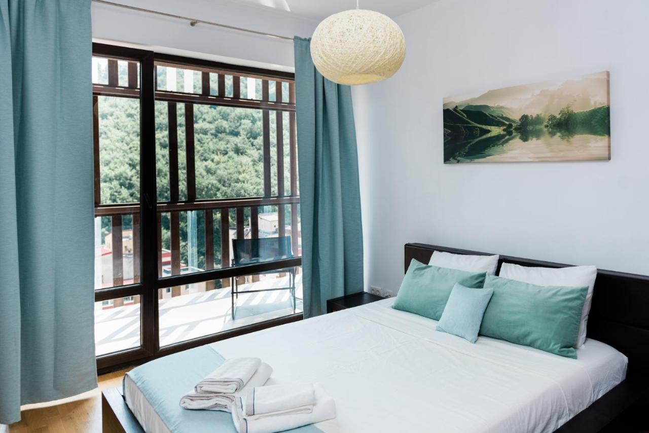 Nature Escape Apartment 布拉索夫 外观 照片