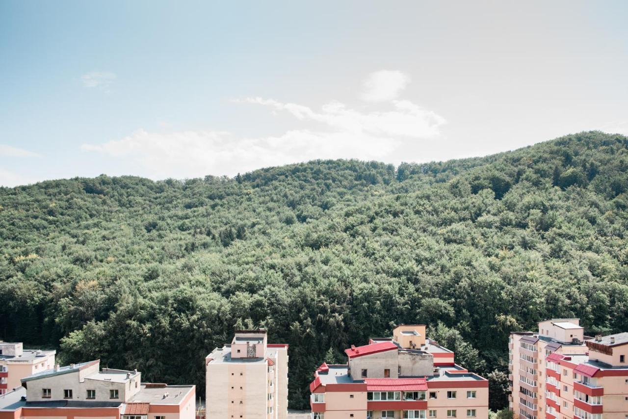 Nature Escape Apartment 布拉索夫 外观 照片