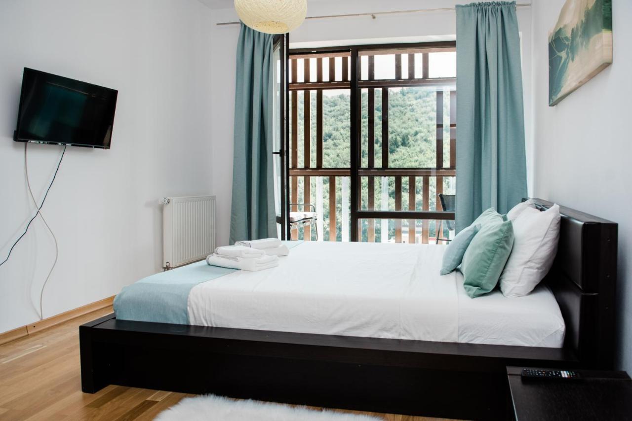 Nature Escape Apartment 布拉索夫 外观 照片
